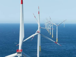 Offshore Project, Dan Tysk Wind Farm. TDD services for 288 MW project in the German North Sea.